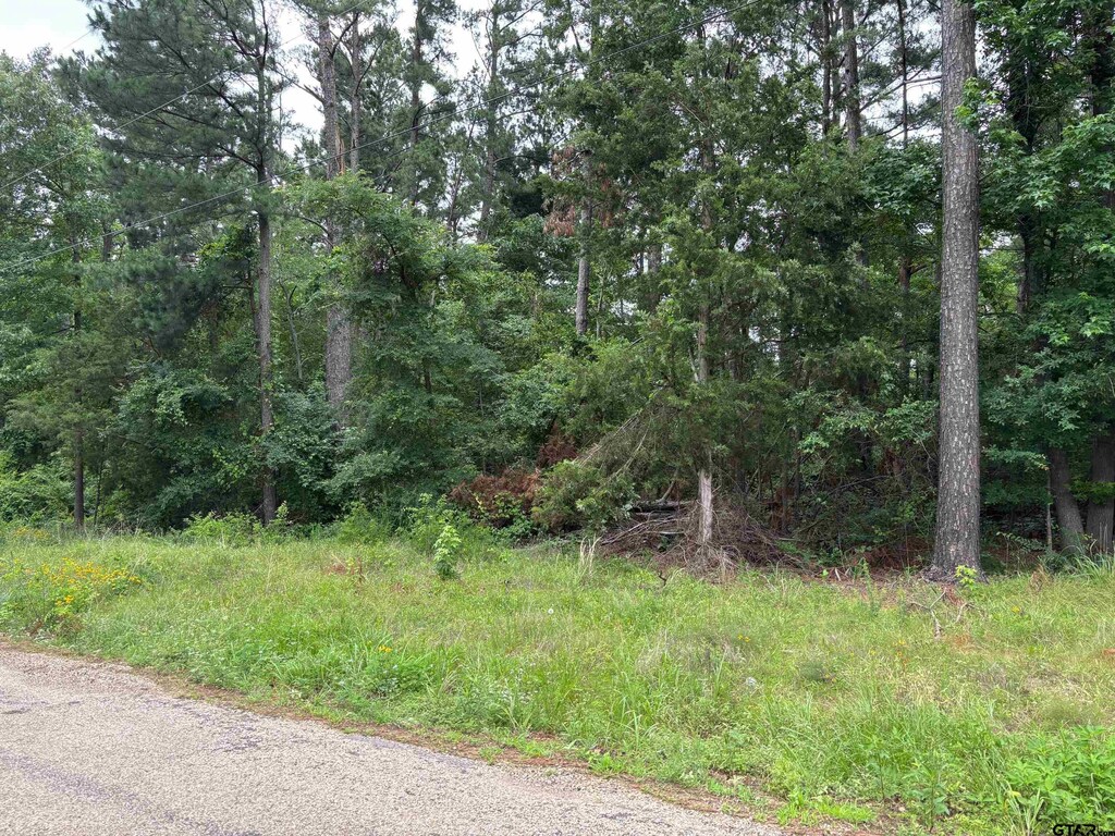 Tbd Crk Unit 2121, Pittsburg, TX 75686