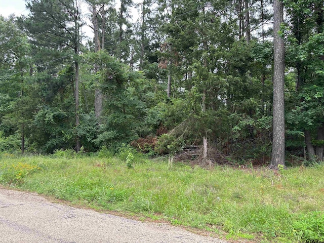 Tbd Crk Unit 2121, Pittsburg, TX 75686