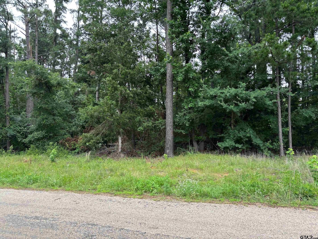 Tbd Crk Unit 2121, Pittsburg, TX 75686