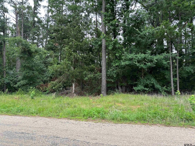 Tbd Crk Unit 2121, Pittsburg, TX 75686