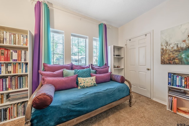 sitting room featuring carpet floors