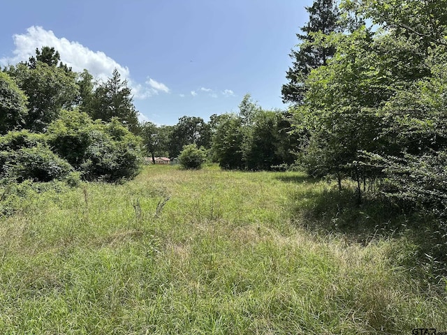 143 County Road 3460, Hawkins, TX 75765 - photo 8