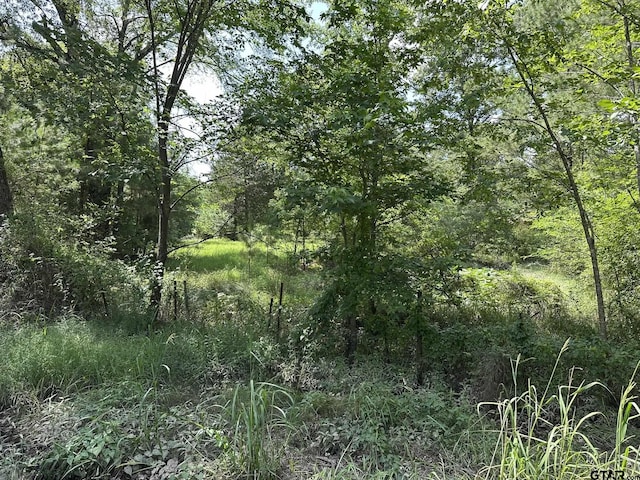143 County Road 3460, Hawkins, TX 75765 - photo 16