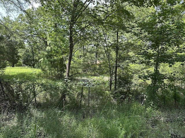143 County Road 3460, Hawkins, TX 75765 - photo 15
