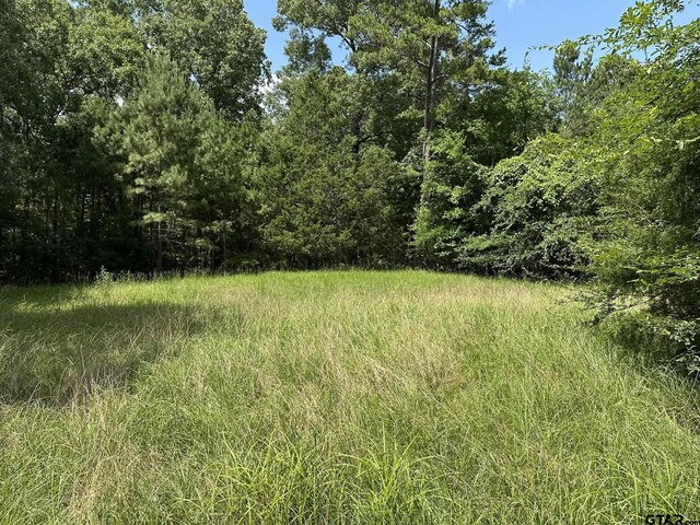 143 County Road 3460, Hawkins, TX 75765 - photo 7