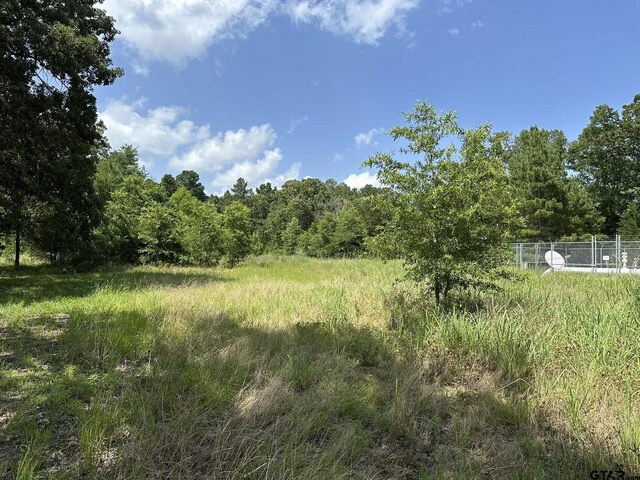 143 County Road 3460, Hawkins, TX 75765 - photo 14