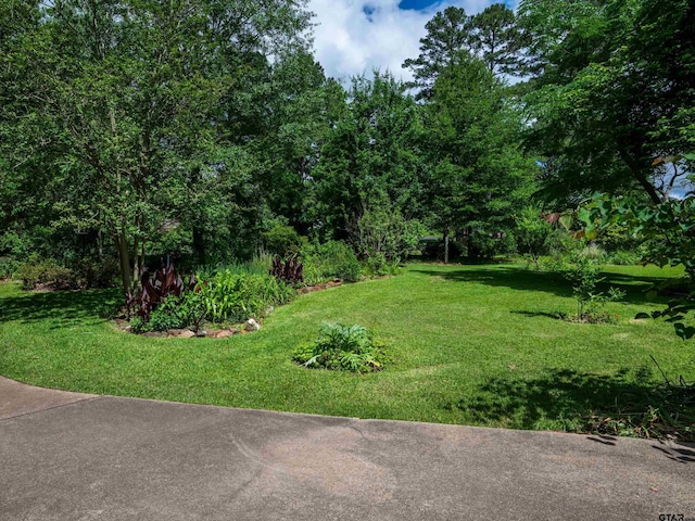 19543 Meadowood Ln, Tyler, TX 75703 - view of grassy yard