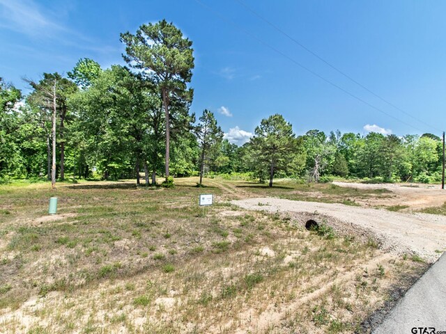 3126 Shadow Pine Dr, Larue, TX 75770