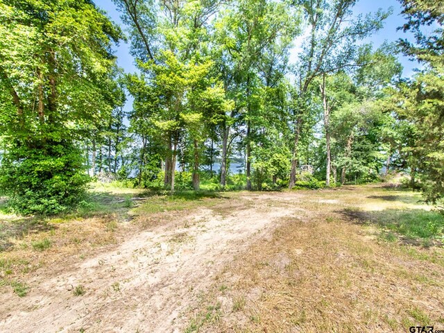 3126 Shadow Pine Dr, Larue, TX 75770