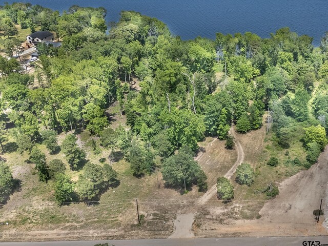 3126 Shadow Pine Dr, Larue, TX 75770