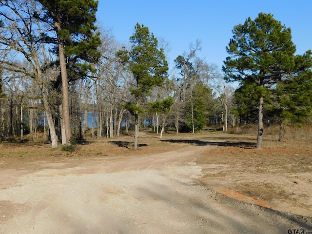 3126 Shadow Pine Dr, Larue, TX 75770