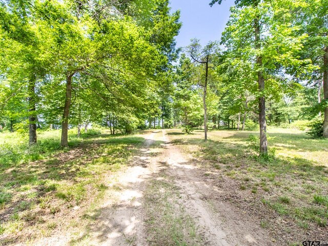 3126 Shadow Pine Dr, Larue, TX 75770