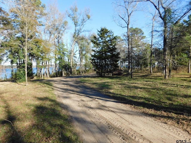 3126 Shadow Pine Dr, Larue, TX 75770