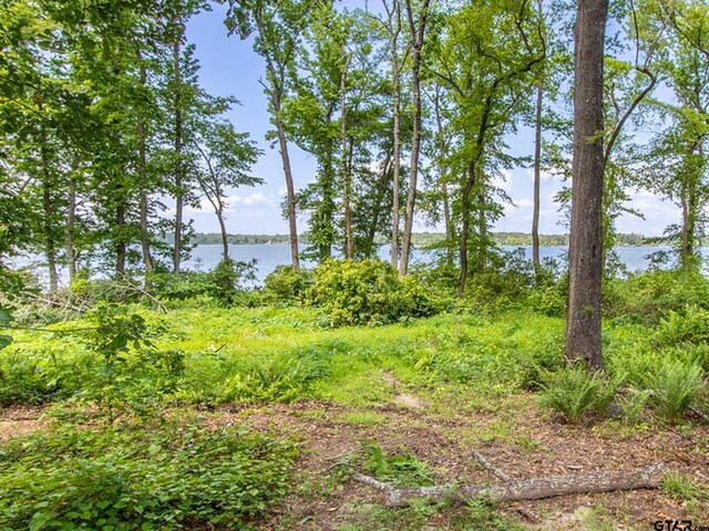 3126 Shadow Pine Dr, Larue, TX 75770