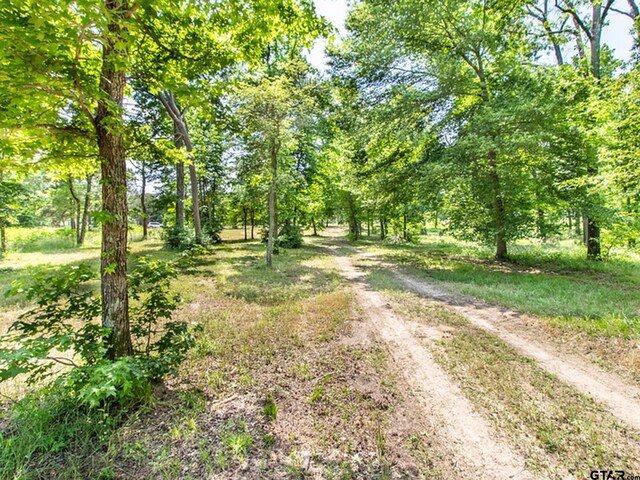 3126 Shadow Pine Dr, Larue, TX 75770