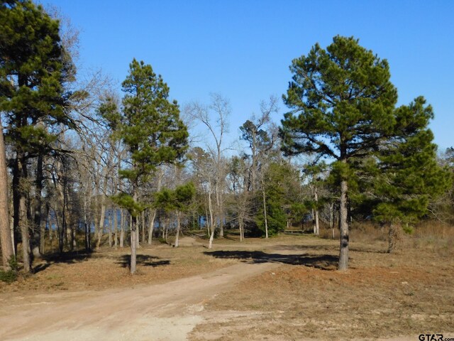 3126 Shadow Pine Dr, Larue, TX 75770
