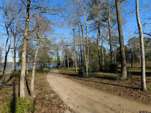 3126 Shadow Pine Dr, Larue, TX 75770