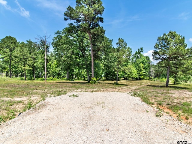 3126 Shadow Pine Dr, Larue, TX 75770