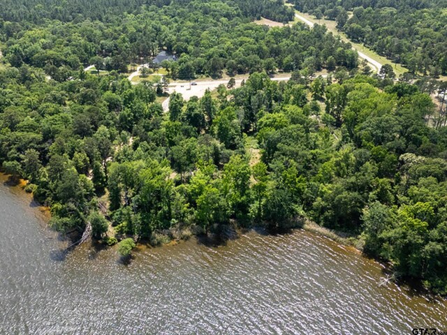 3126 Shadow Pine Dr, Larue, TX 75770