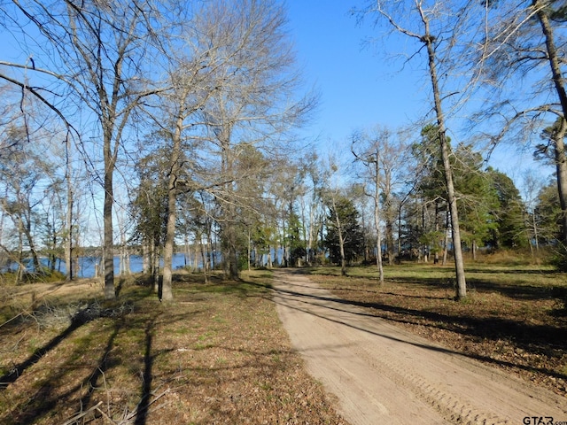 3126 Shadow Pine Dr, Larue, TX 75770