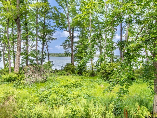 3126 Shadow Pine Dr, Larue, TX 75770