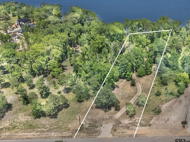 3126 Shadow Pine Dr, Larue, TX 75770