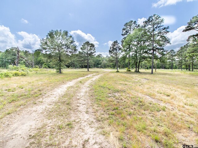 3126 Shadow Pine Dr, Larue, TX 75770
