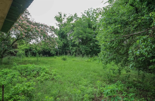 100 Mills St, Arp, TX 75750 - view of tree filled area