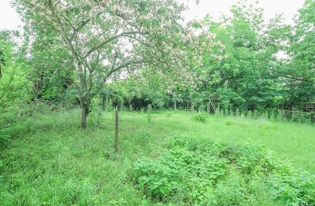 100 Mills St, Arp, TX 75750 - view of wooded area