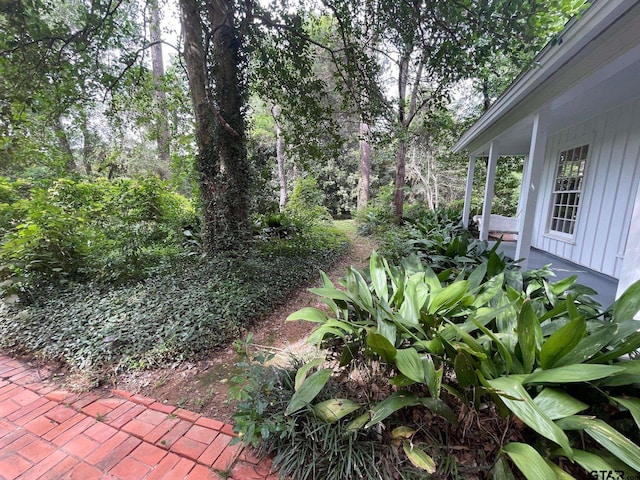 1106 E Redbud, Crockett, TX 75835 - view of yard