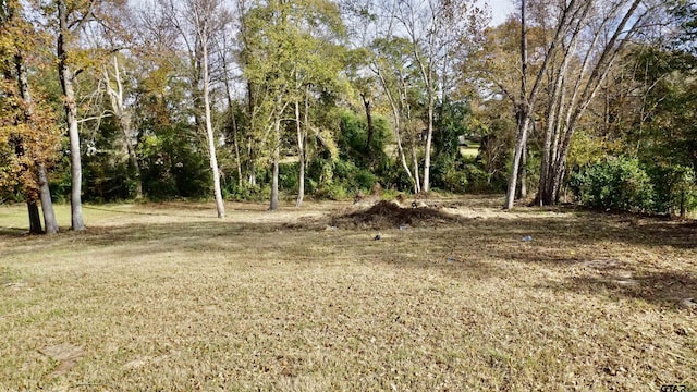 9422 Ann Ave, Tyler, TX 75706 - view of local wilderness