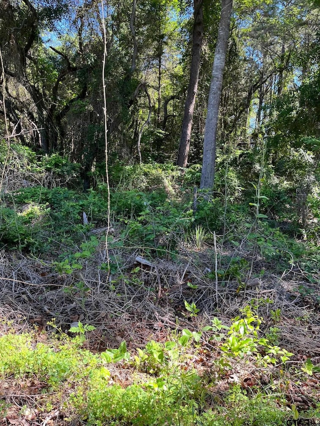 TBD Fm 1801, Mineola, TX 75773
