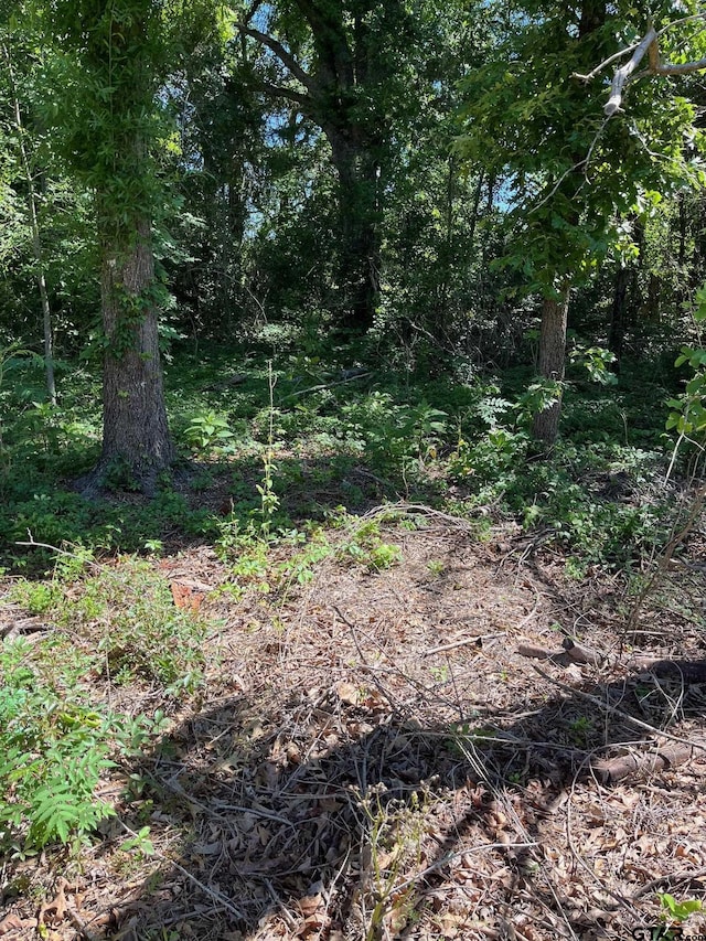 TBD Fm 1801, Mineola, TX 75773