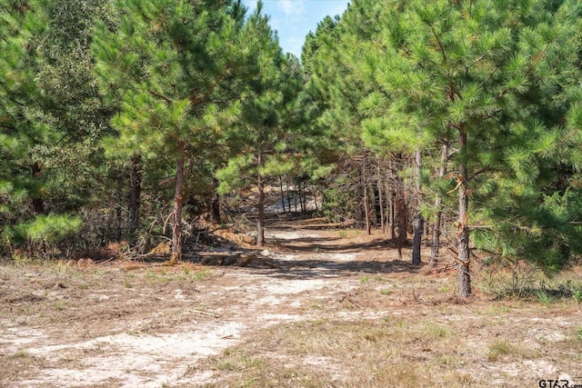 TRACT2 Fm 279, Ben Wheeler TX, 75754 land for sale