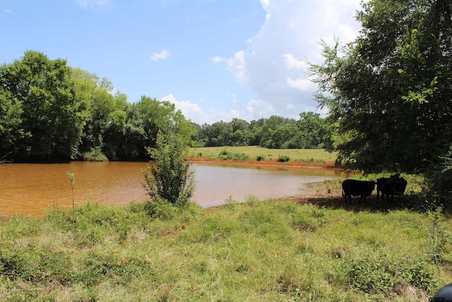 TBD Loop 456, Jacksonville, TX 75766 - photo 10