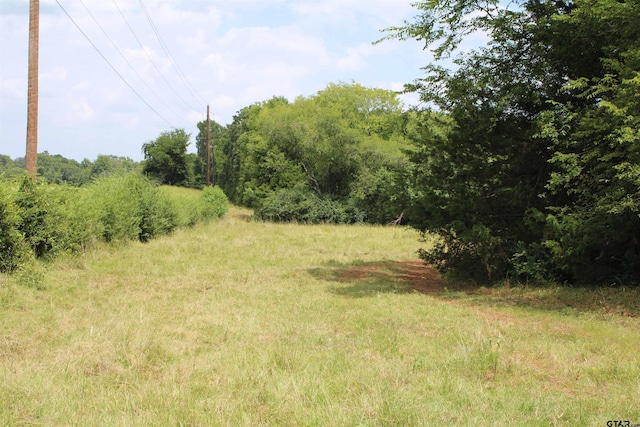 TBD Loop 456, Jacksonville, TX 75766 - photo 5