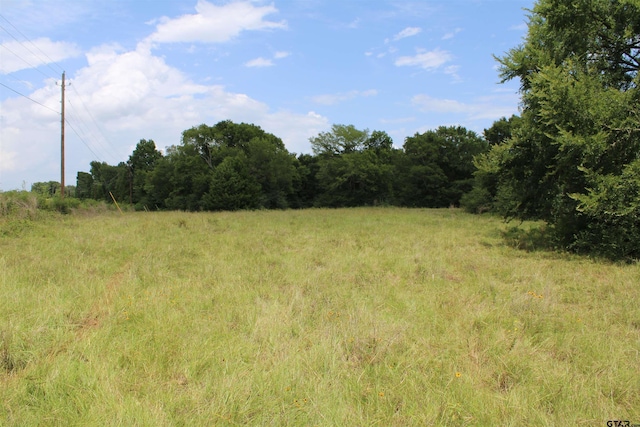 TBD Loop 456, Jacksonville, TX 75766 - photo 6