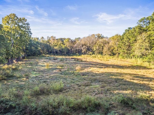 Listing photo 3 for TBD E 3rd St, Rusk TX 75785