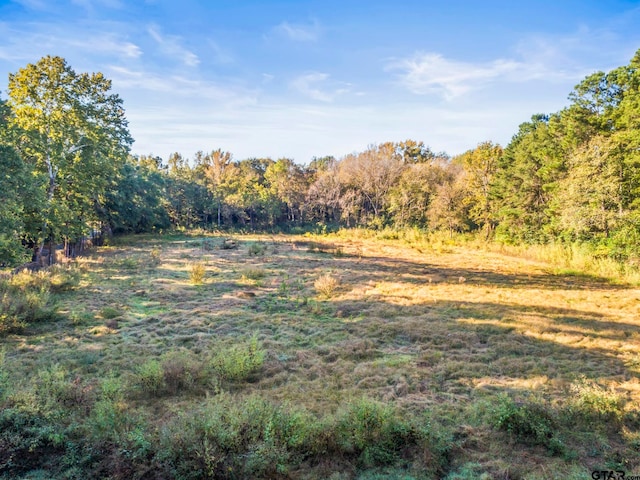 Listing photo 2 for TBD E 3rd St, Rusk TX 75785