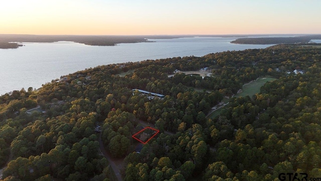 aerial view at dusk featuring a water view