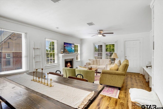 dining area featuring a warm lit fireplace, wood finished floors, ceiling fan, and crown molding