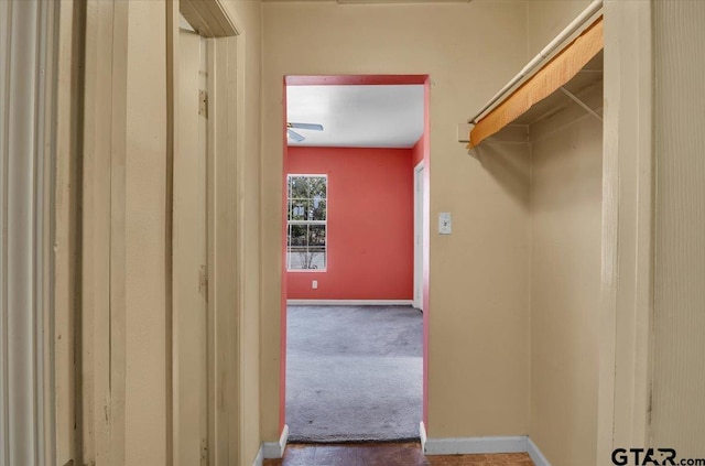 spacious closet with carpet