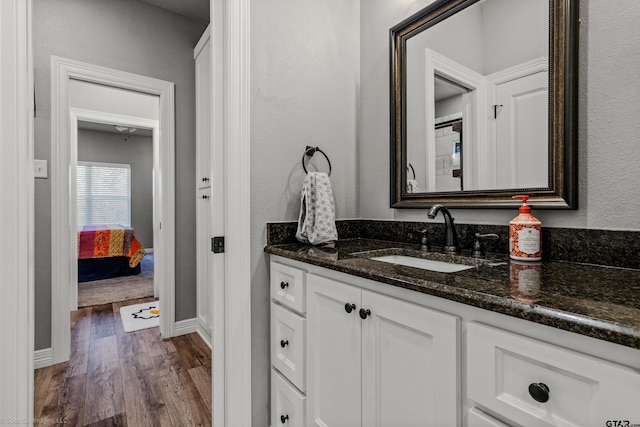 bathroom with hardwood / wood-style floors and vanity