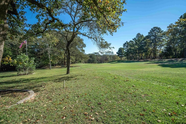256 Ox Bow Cv, Holly Lake Ranch, TX 75765 - view of grassy yard with view of wooded area