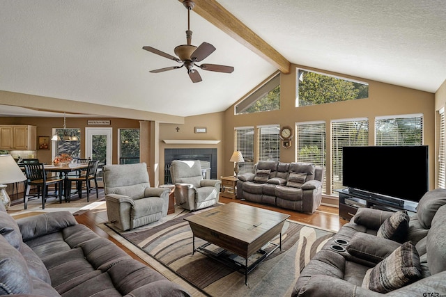 living room with beam ceiling, ceiling fan, high vaulted ceiling, a textured ceiling, and light wood-type flooring