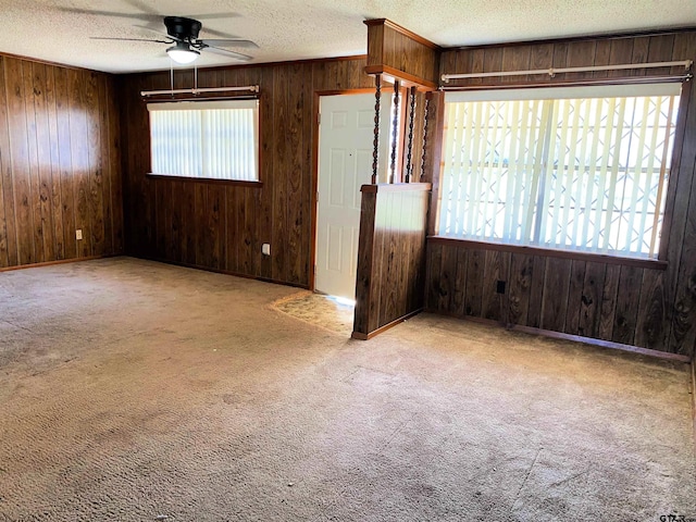 empty room with a textured ceiling, carpet floors, and a healthy amount of sunlight