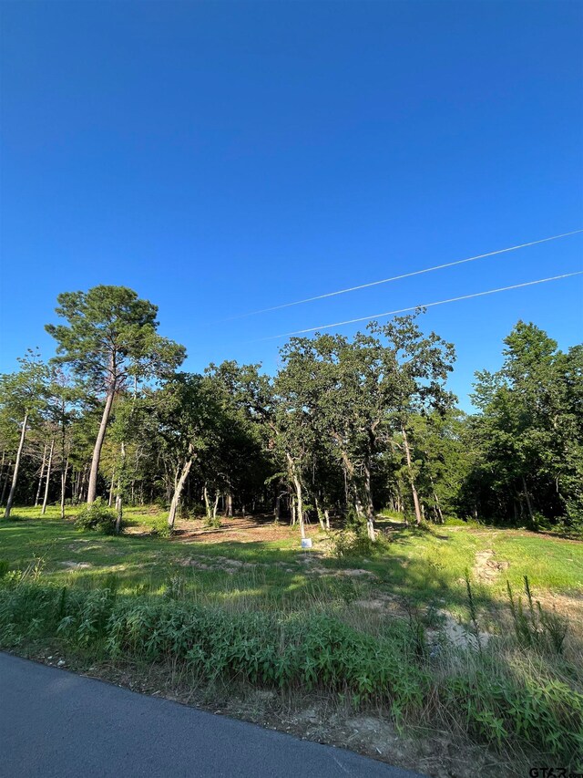 3242 Shadow Pine Dr, Larue, TX 75770