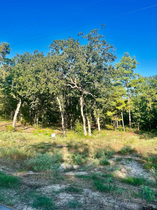 3242 Shadow Pine Dr, Larue, TX 75770