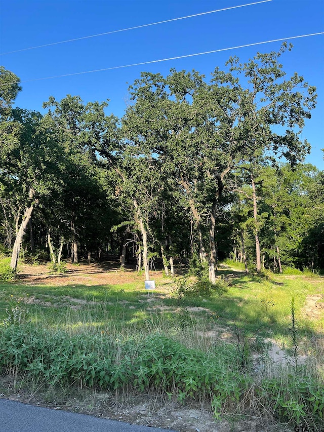 3242 Shadow Pine Dr, Larue, TX 75770