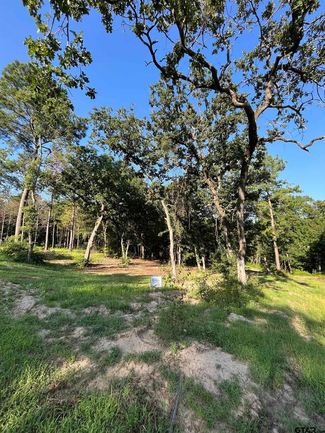 3242 Shadow Pine Dr, Larue, TX 75770